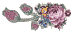 Rose left