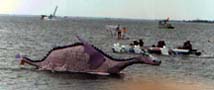 Raft 3