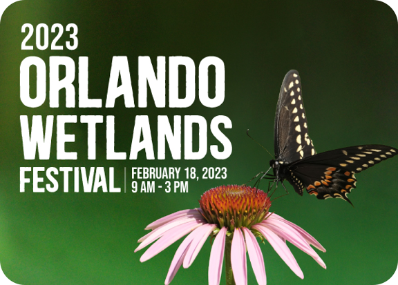 Orlando Wetlands Festival in February, 2023.