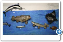 Hall of Mollusks - Fish
