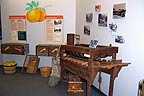 The Citrus industry in Brevard County