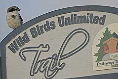 Wild Birds Unlimited Trail sign at Black Point.