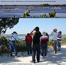 Click for enlargement of birdwatching tour.