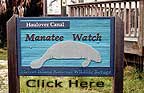 View photos of the Manatee observation deck at MINWR.