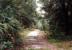 Hiking trail through the Enchanted Forest Sanctuary