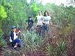 Making trail