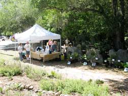 Sea Rocket NPS booth at Enchanted Forest Earth Day 2009