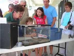 Goby Fest - Kids & snakes.