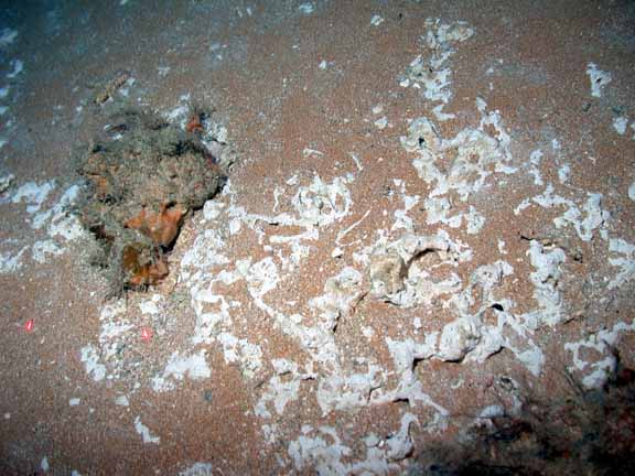 white clay