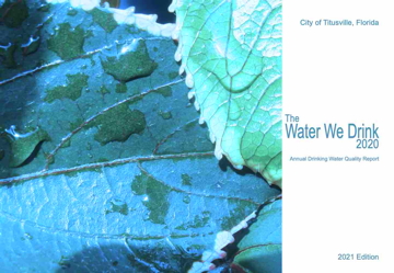 Titusville's 2020 Water Quality Report.