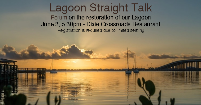 Updates on the Indian River Lagoon Restoration Plan