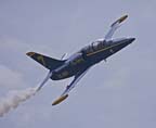 L39BlueAngel-6000