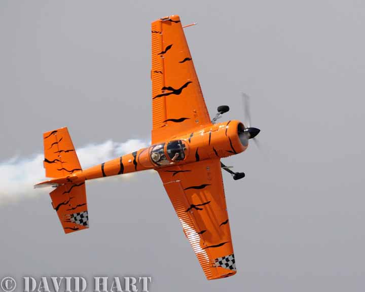TumblingTigerYak2