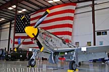 TheBrat-III_P-51