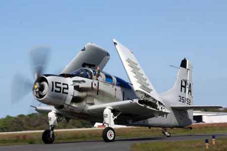 a1_foldedwings