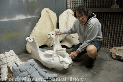 MastodonReconstruction-03