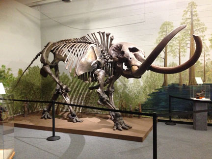 Mastodon - click to enlarge