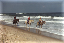 Horseback riding on the seashore