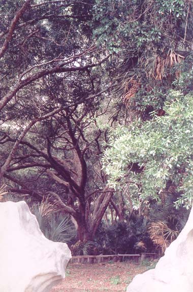 Amphitheater