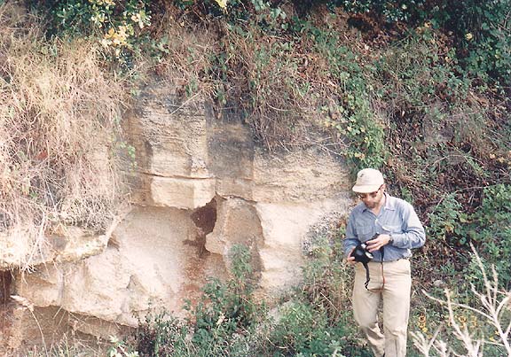 Geology-Quarry