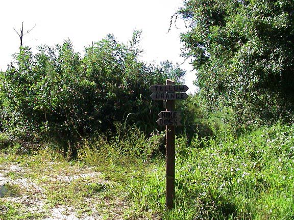 DSC00035