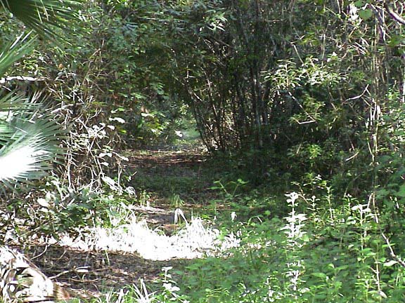 DSC00043