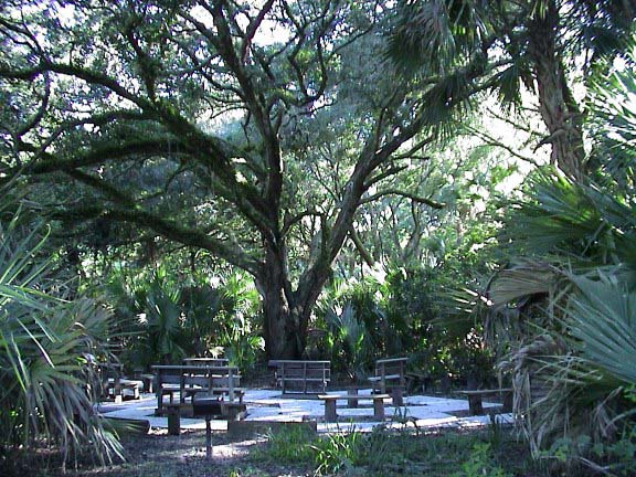 DSC00049