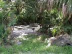 DSC00010
