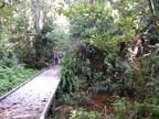DSC00028