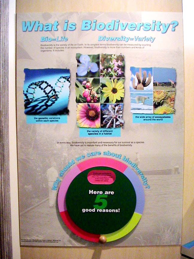 d-biodiversity