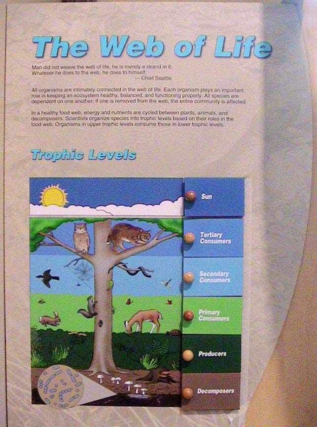 e-weboflife