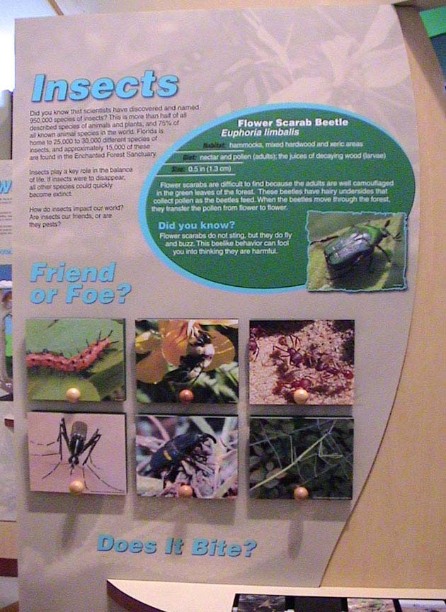 f-insects