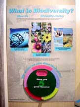 d-biodiversity