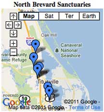 Click for information about the North Brevard EEL nature sanctuaries.