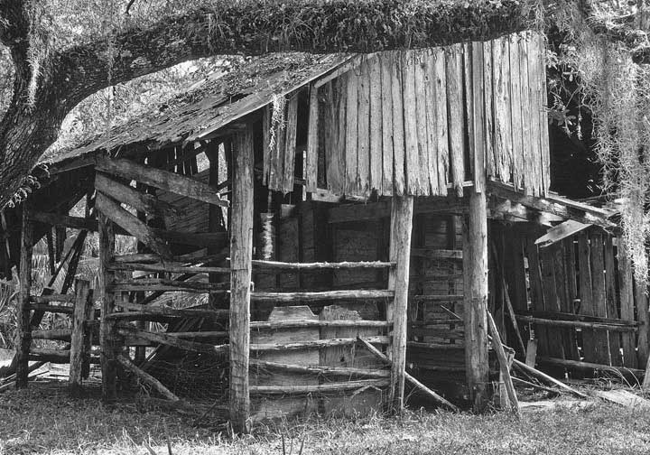 Barn & Horse Stalls