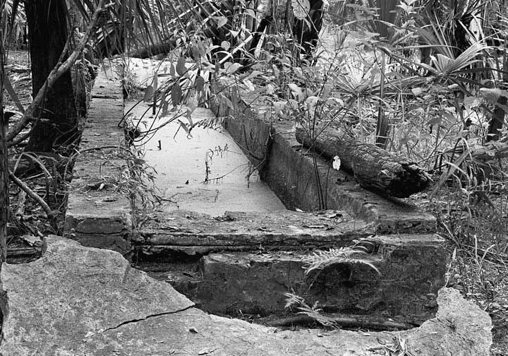 Cattle Dip Trough