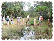 Tosohatchee Wildlife Management Area Christmas, Florida