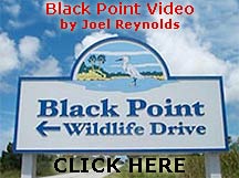 Click here to enjoy Joel Reynolds Black Point video.