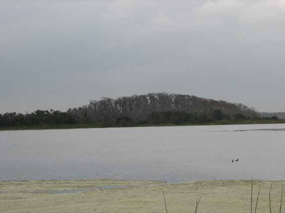 LakeSearcy