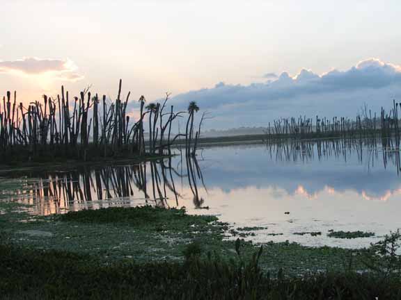 MixedMarshScenic-2