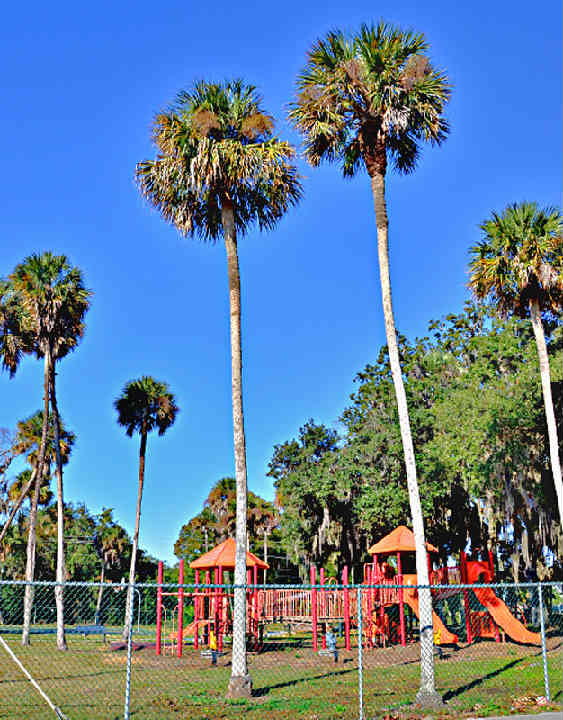 BlantonPark2.jpg