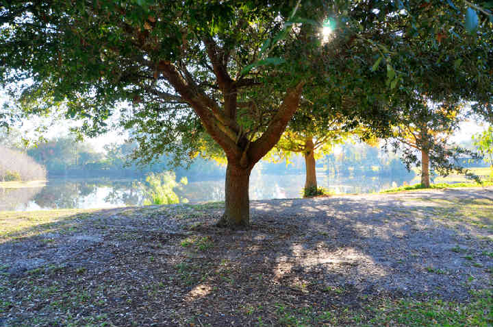 SherwoodPark1.jpg