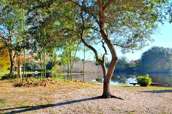 SherwoodPark2.jpg