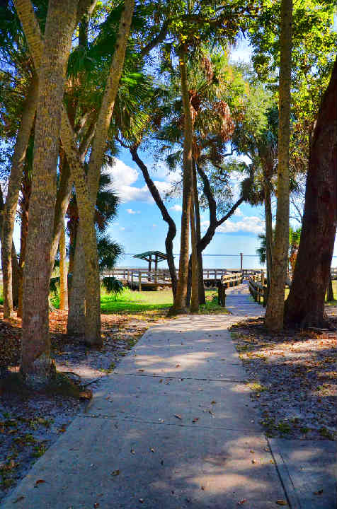 TomStathamWaterfront2.jpg