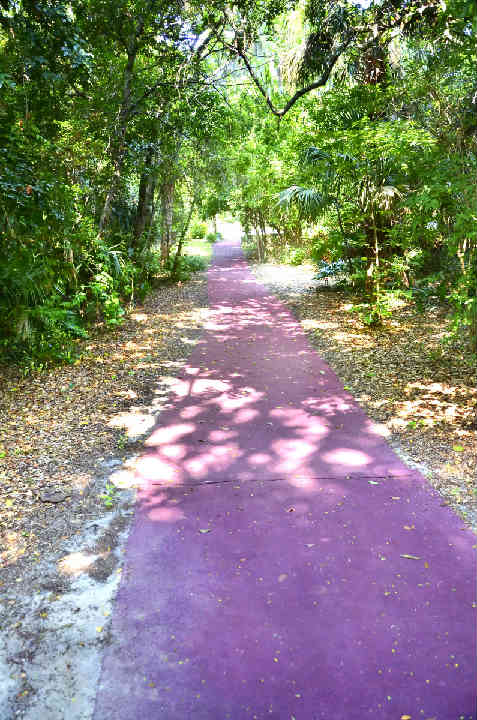 WuesthoffPark5.jpg