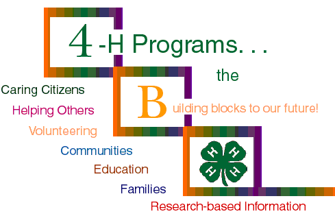 The 4-H program