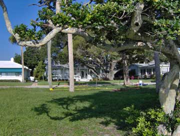 View of excavation area