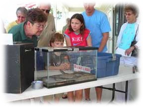 Goby Fest - Kids & snakes.