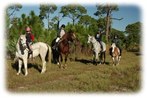 Poker Ride kellys group