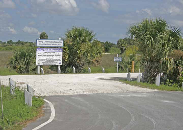 BLACKPOINTDRIVEENT2-ED